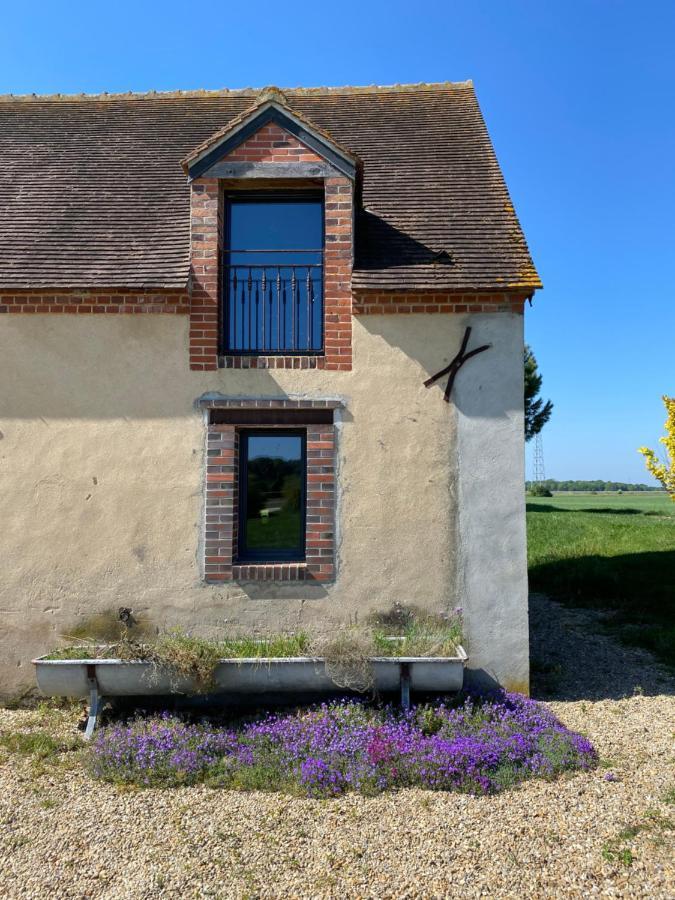 La Muzardiere Aux Gites De Cormenin Saint-Hilaire-sur-Puiseaux Ngoại thất bức ảnh